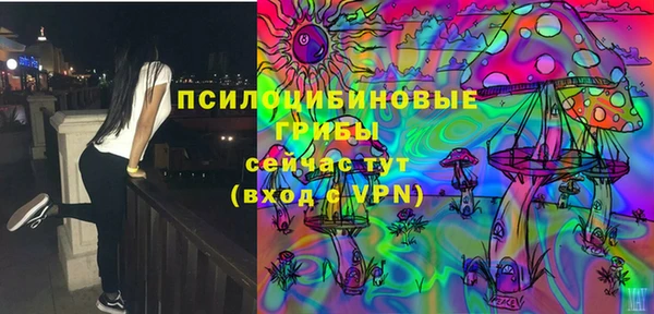 гидропоника Каменск-Шахтинский